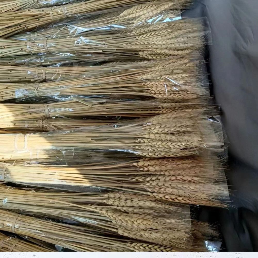 Dried Flower Bulk - 50 stuks Kunstbloemen Natuurlijke Gedroogde Tarwe