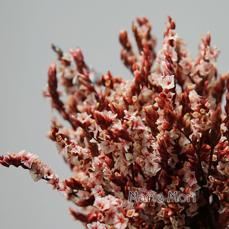 Flower Preservation Resin - 5g/Kleurrijke Dired Bewaarde Kristallen Gras Thuiskantoor