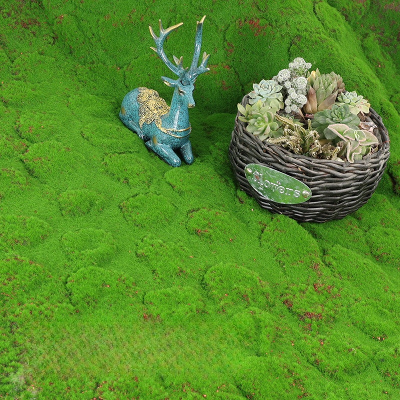 Kunstgras Mos Simulatie Grasla - Terrarium Moss Art recensie en prijs