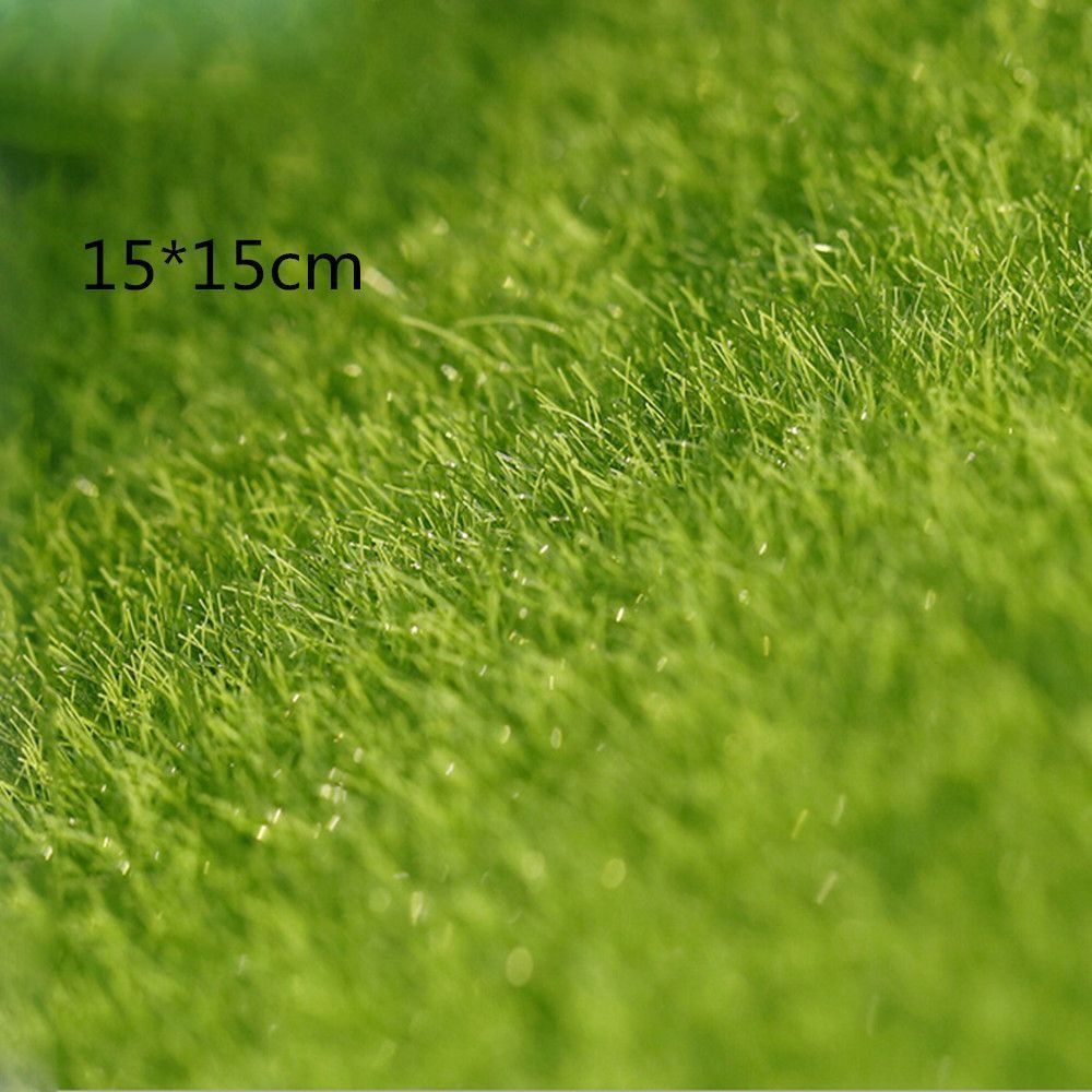 Ecologisch gazondecoratie Tuin - Terrarium Moss Art recensie en prijs