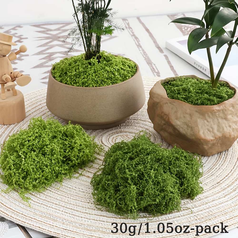 1pack kunstmatig nepmos, 1,05  - Terrarium Moss Art recensie en prijs