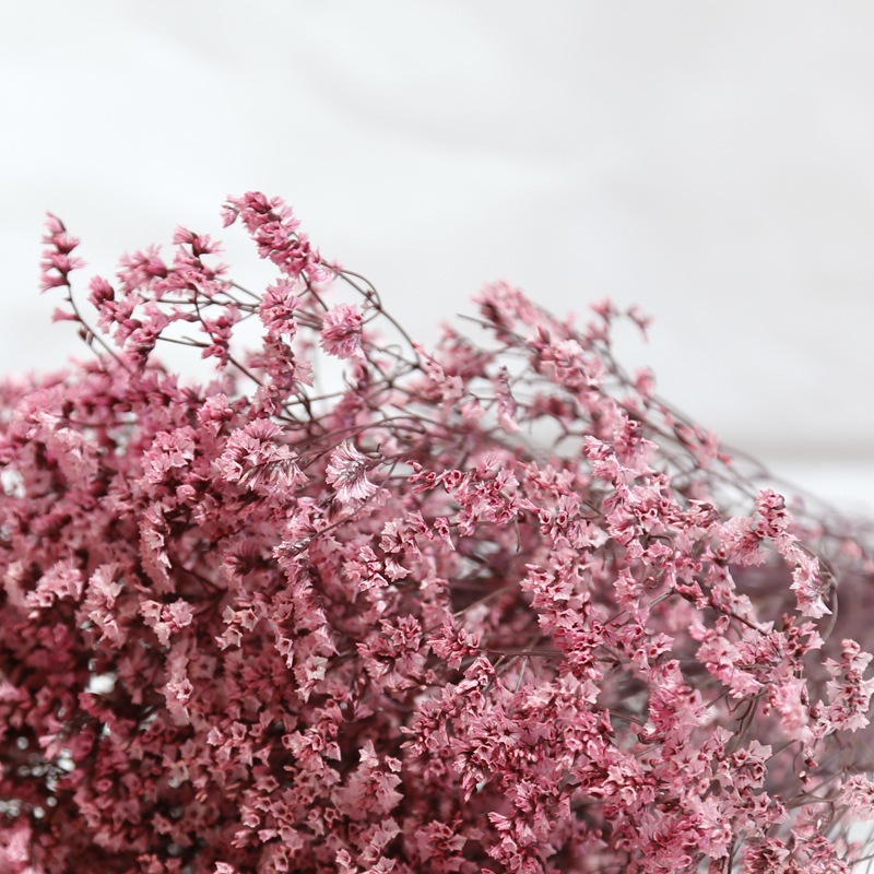Natuurlijke Verse Gedroogde Be - Dried Flower Bulk recensie en prijs