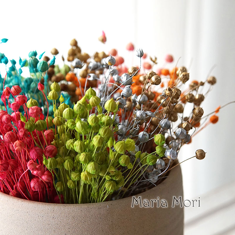 5g Bewaarde Vlasboon Natuurlij - Dried Flower Bulk recensie en prijs