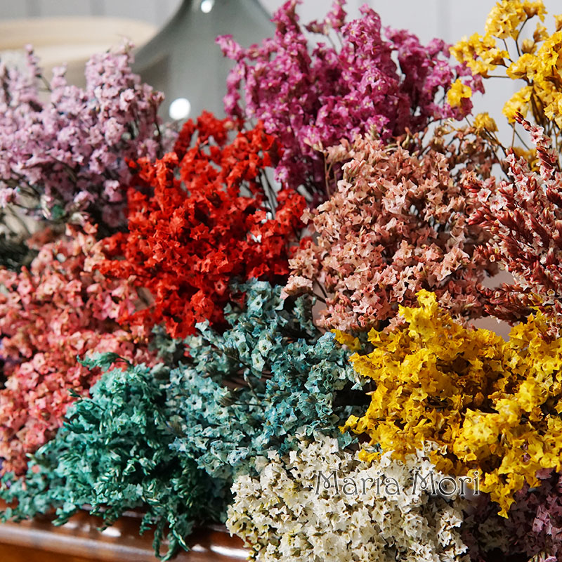 5g/Kleurrijke Dired Bewaarde K - Flower Preservation Resin recensie en prijs