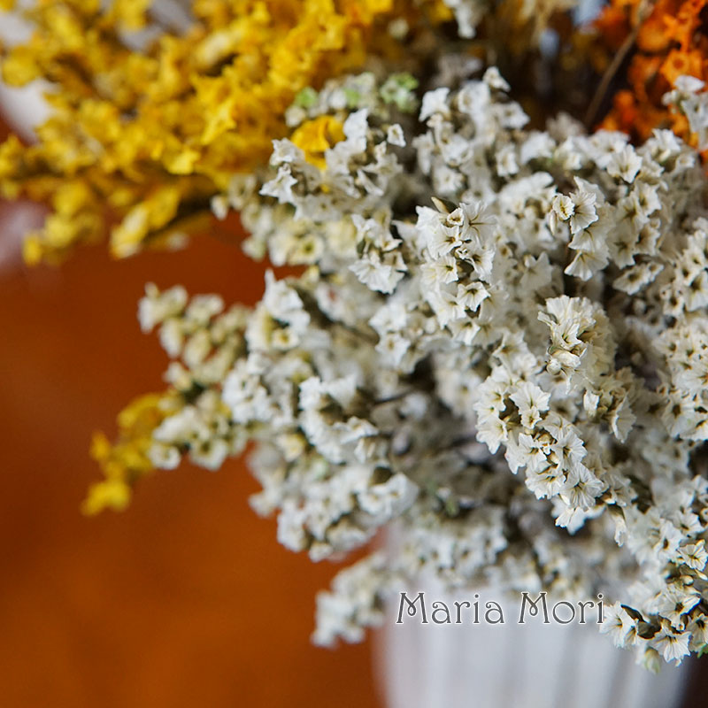 5g/Kleurrijke Dired Bewaarde K - Flower Preservation Resin recensie en prijs